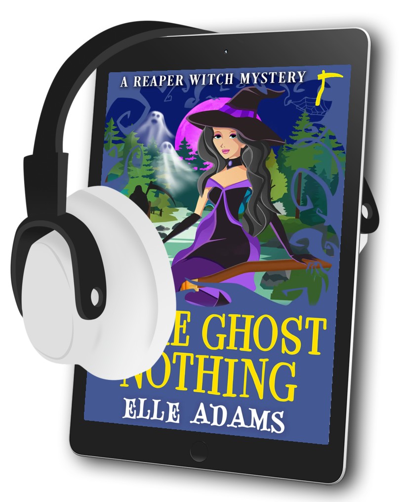 Here Ghost Nothing Audiobook