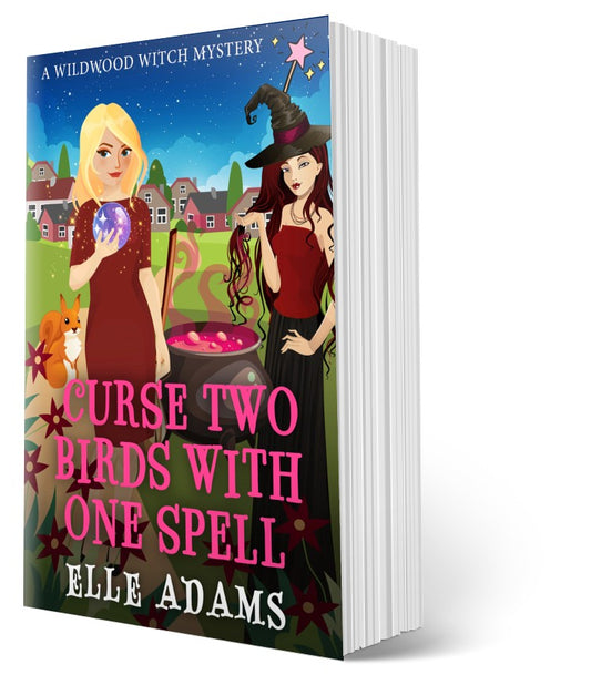 Curse Two Birds with One Spell paperback
