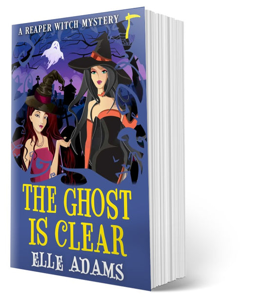 The Ghost is Clear Paperback.