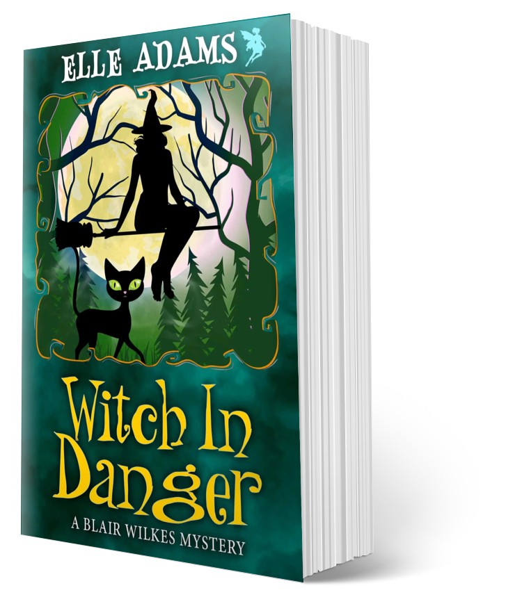Witch in Danger by Elle Adams